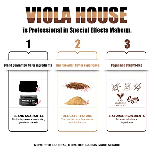 Viola kuća Posebni efekti šminke u prahu SFX šminka, božićna šminka