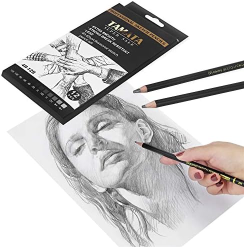 RVOGJP TAMATA Professional crtanje skiciranje olovka Set - 12 komada Art crtanje grafit olovke, idealno za crtanje