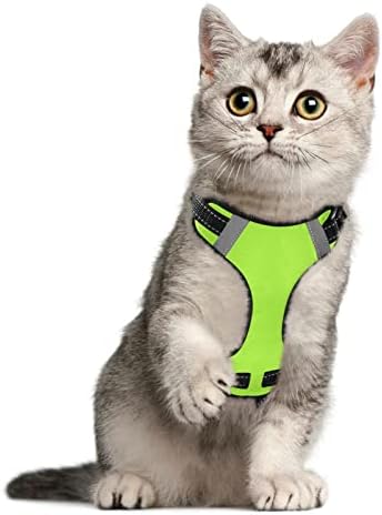 Fluorescentno Zeleni pojas za mačke za male i srednje mačke, laka kontrola, jaki, podesivi pojasevi