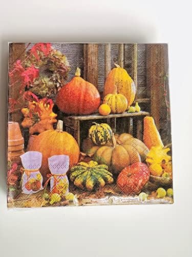 40-CT 13x13 Gourd bundeve salvete | Evropska dekoupage za zahvalnosti | Jesen koktel salveta | Šarene