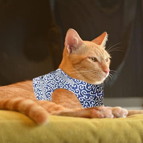 Mipcase 3sets plavi pojas Puppy Pet grudi Kućni ljubimci mačka odjeća za hodanje pojasevi kaiševi