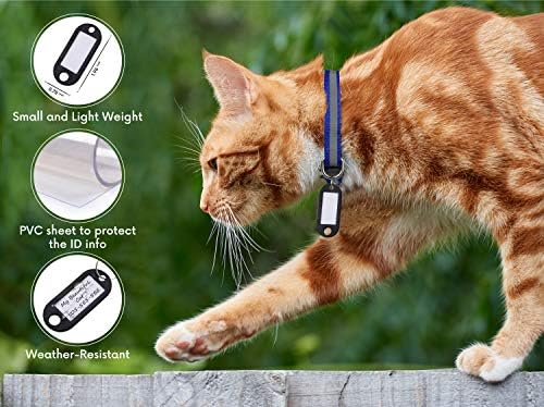 Elanz 6 Pack Reflective Breakaway Cat ovratnik sa zvonom & amp; ID oznaka-podesivi, Super Meki, izdržljivi
